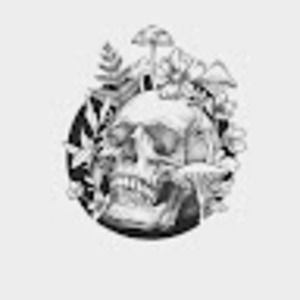 Meet your Posher, Jordyn